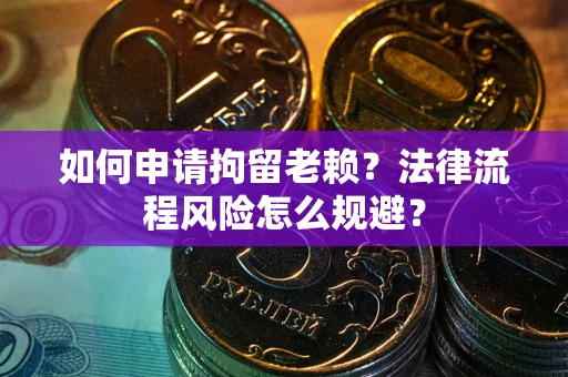 武汉如何申请拘留老赖？法律流程风险怎么规避？