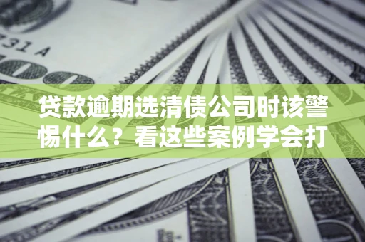 武汉贷款逾期选清债公司时该警惕什么？看这些案例学会打翻身仗