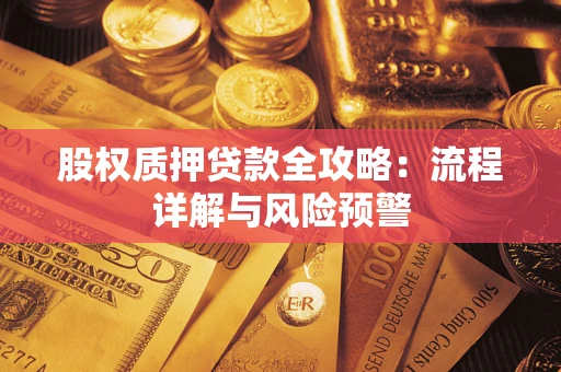 武汉股权质押贷款全攻略：流程详解与风险预警