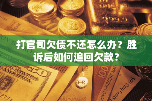 武汉打官司欠债不还怎么办？胜诉后如何追回欠款？