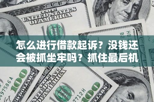 武汉怎么进行借款起诉？没钱还会被抓坐牢吗？抓住最后机会！