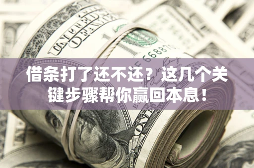 武汉借条打了还不还？这几个关键步骤帮你赢回本息！