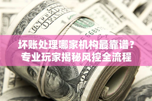 武汉坏账处理哪家机构最靠谱？专业玩家揭秘风控全流程