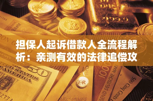 武汉担保人起诉借款人全流程解析：亲测有效的法律追偿攻略