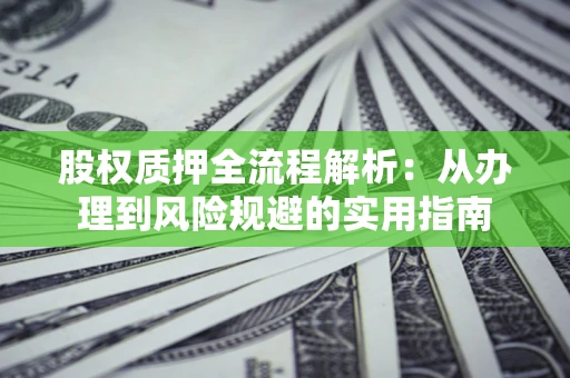 武汉股权质押全流程解析：从办理到风险规避的实用指南