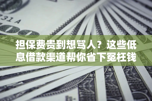 武汉担保费贵到想骂人？这些低息借款渠道帮你省下冤枉钱