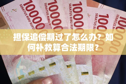 武汉担保追偿期过了怎么办？如何补救算合法期限？