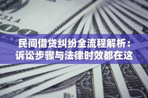 武汉民间借贷纠纷全流程解析：诉讼步骤与法律时效都在这儿了