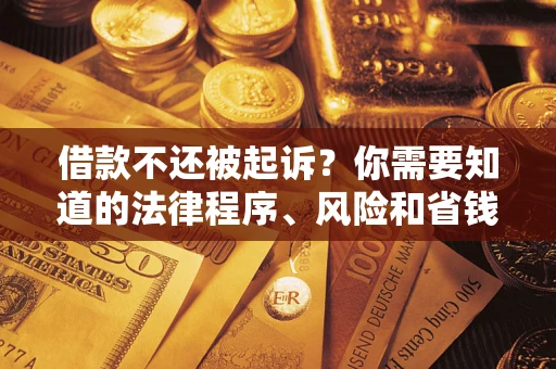 武汉借款不还被起诉？你需要知道的法律程序、风险和省钱技巧