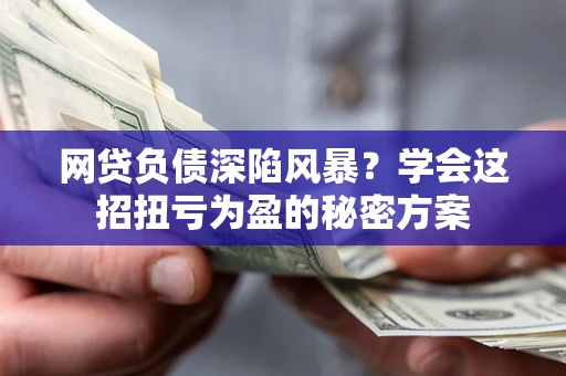 武汉网贷负债深陷风暴？学会这招扭亏为盈的秘密方案
